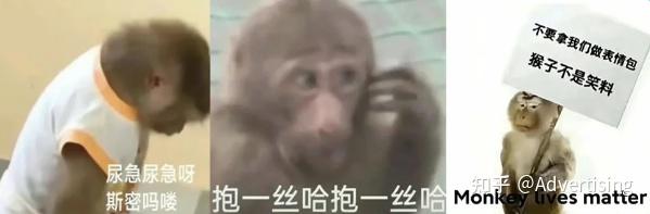 鼠鼠火箭_卡皮巴拉豚门文化_年轻人动物表情包