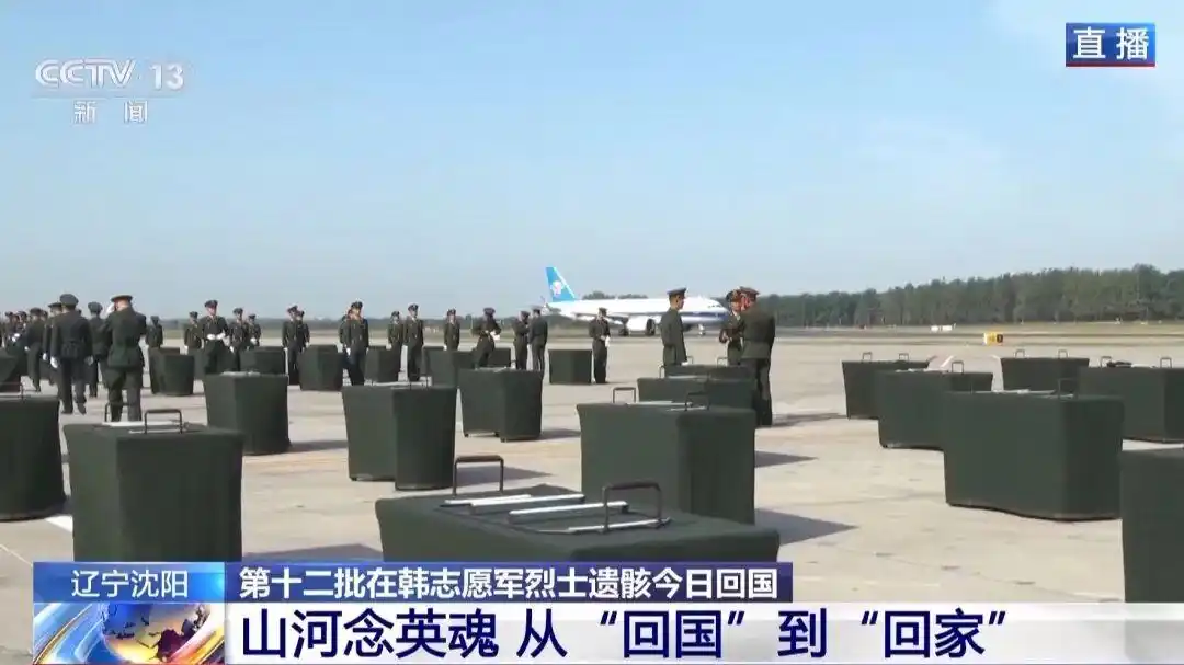 运-20护航志愿军烈士专机_致敬英烈！运-20舱内视角看歼-20护航_迎接志愿军烈士遗骸回国