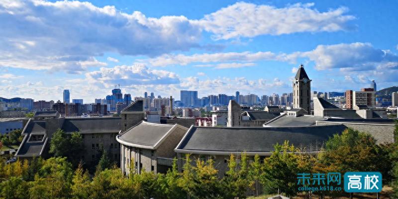 大连东软信息学院2025世界大学创新力排名_大连创新实践学校地址_大连东软信息学院行业应用排名