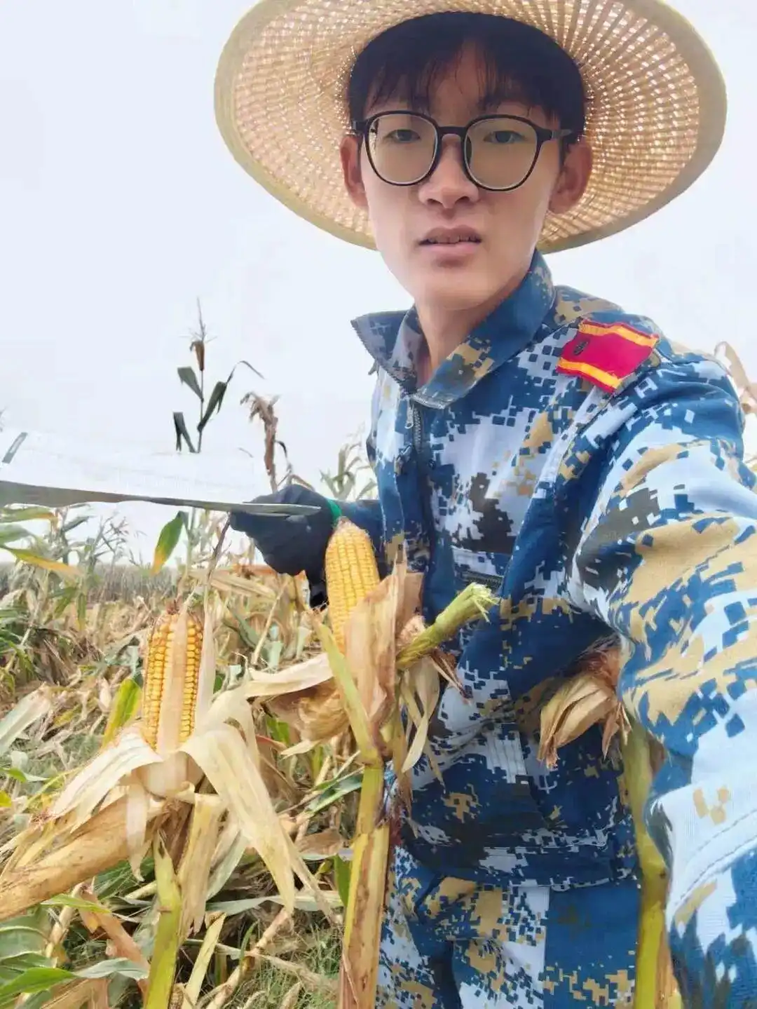 8天假在家掰了7天半玉米，大学生回应走红：不直播带货，就专心学习