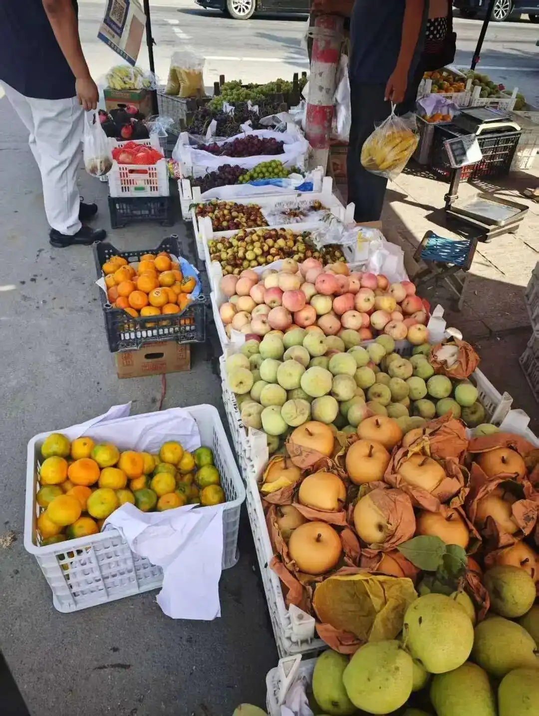 大学生掰玉米孝顺_大学生8天假期掰了7天半玉米_孟成大学生国庆回家掰玉米