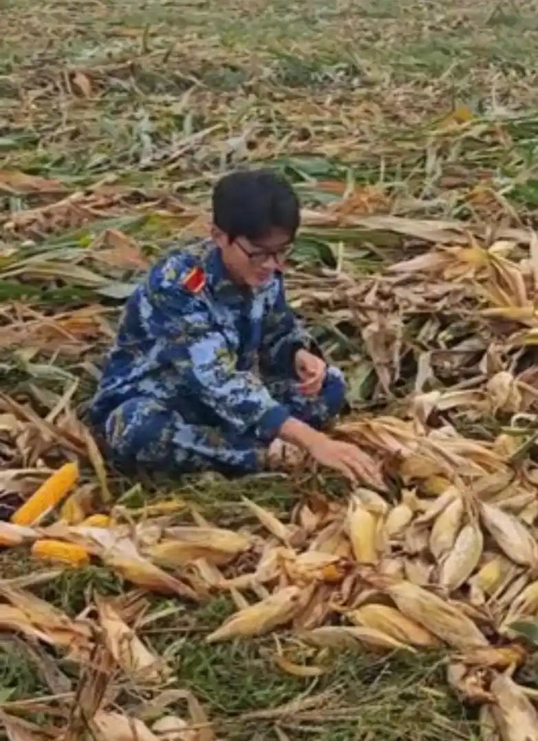 大学生国庆掰玉米_大学生8天假期掰了7天半玉米_青岛农业大学学生帮父母掰玉米