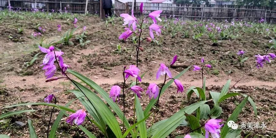 浠水预防青少年违法犯罪工作会议_浠水省级生态文明建设示范县创建工作_浠水近期重大新闻