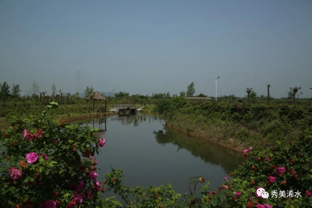 浠水近期重大新闻_浠水省级生态文明建设示范县创建工作_浠水预防青少年违法犯罪工作会议