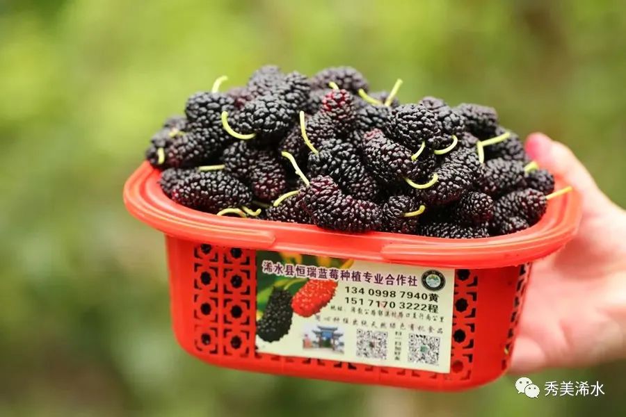 浠水近期重大新闻_浠水预防青少年违法犯罪工作会议_浠水省级生态文明建设示范县创建工作