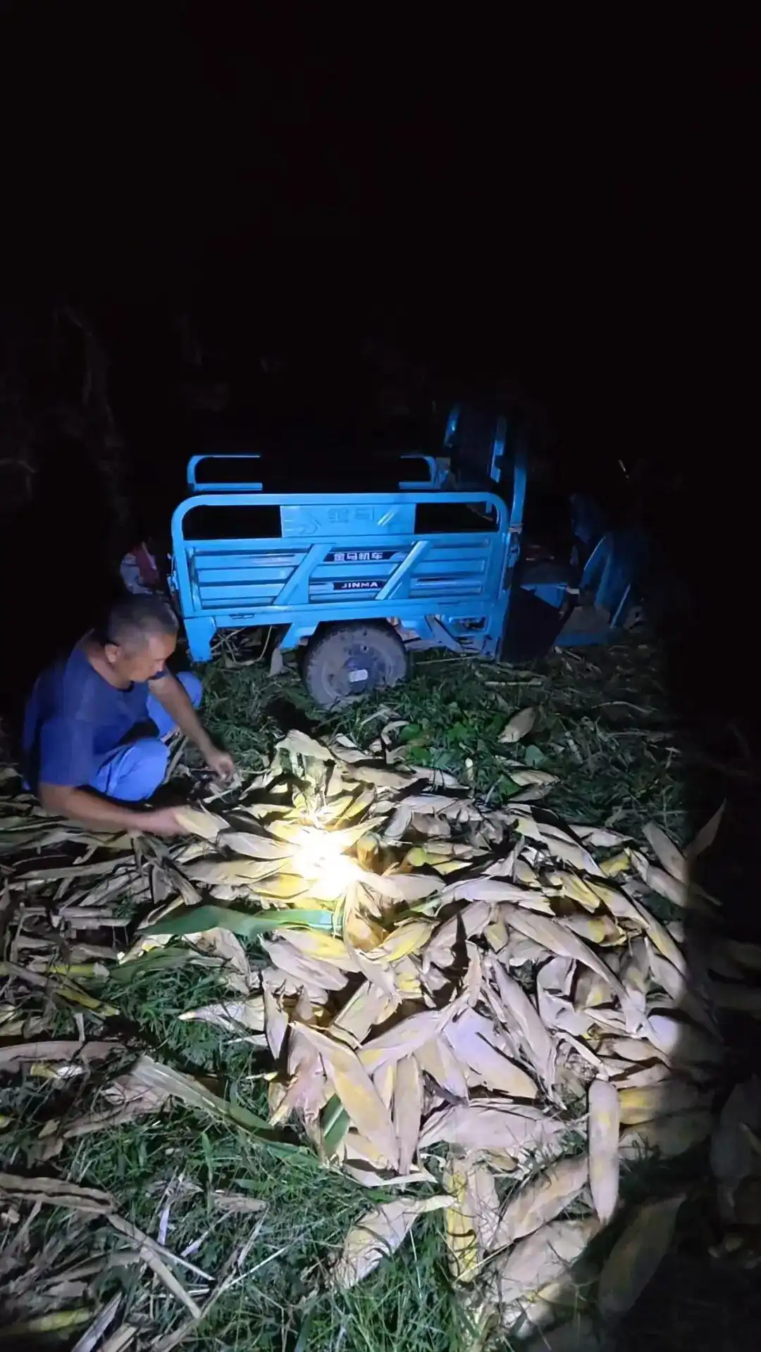 孟成掰玉米故事_大学生国庆回家掰玉米_大学生8天假期掰了7天半玉米