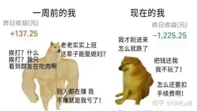 基金投资避坑指南_基金论坛网哪个比较好_基金新手入门教程