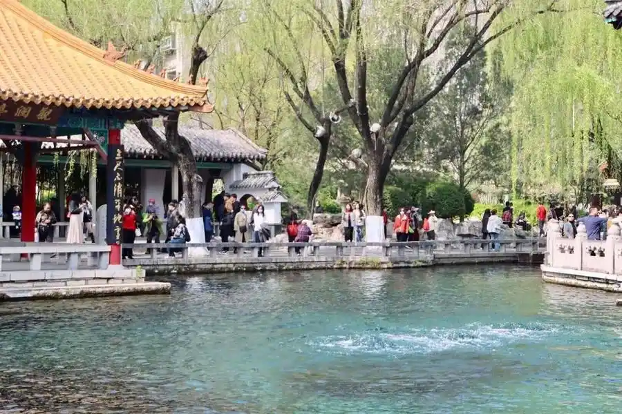 园方证实：比停喷线仍高出48厘米，趵突泉暂无停喷危险