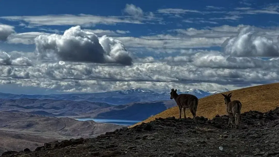 2025，如何给自己安排一场好的旅行