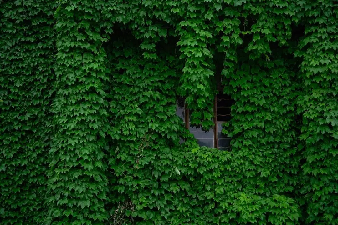 旅途_旅行定制师_旅行疲惫感