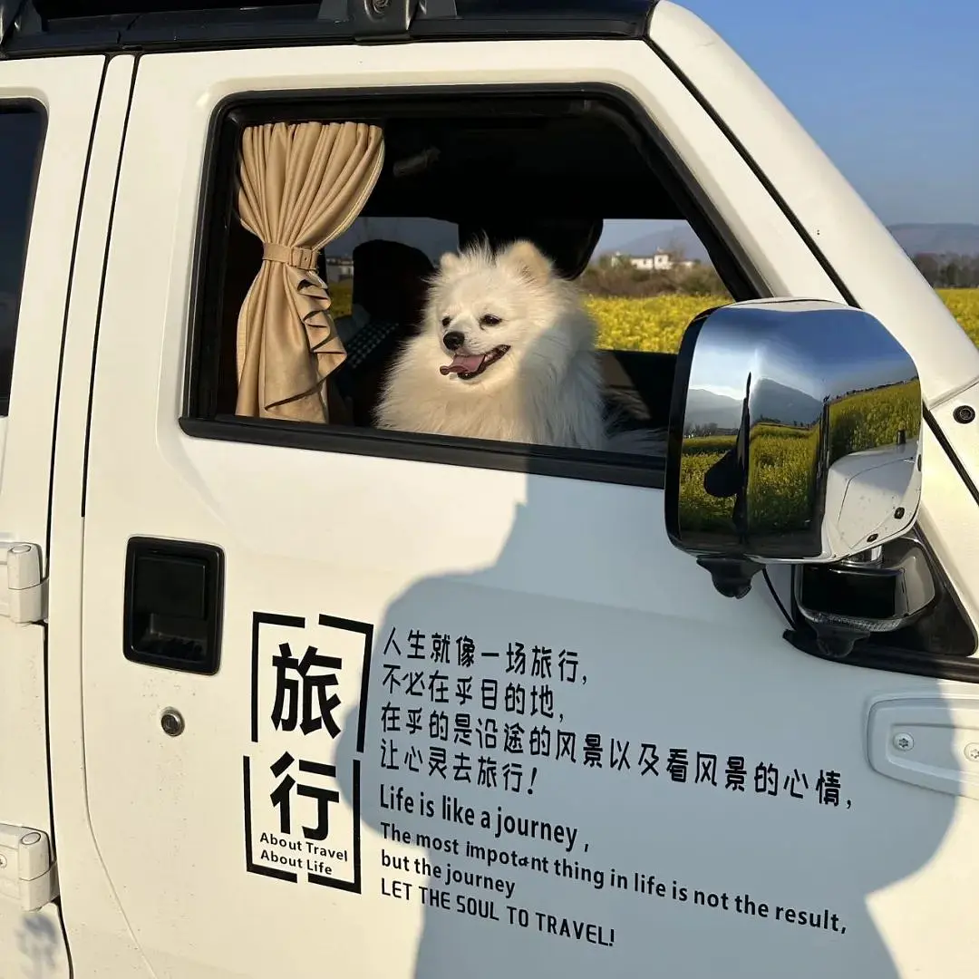 旅途_旅行定制师_旅行疲惫感