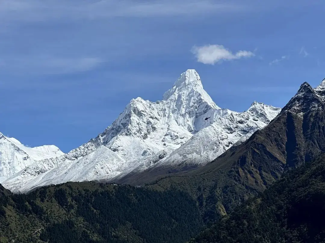旅行疲惫感_旅途_旅行定制师