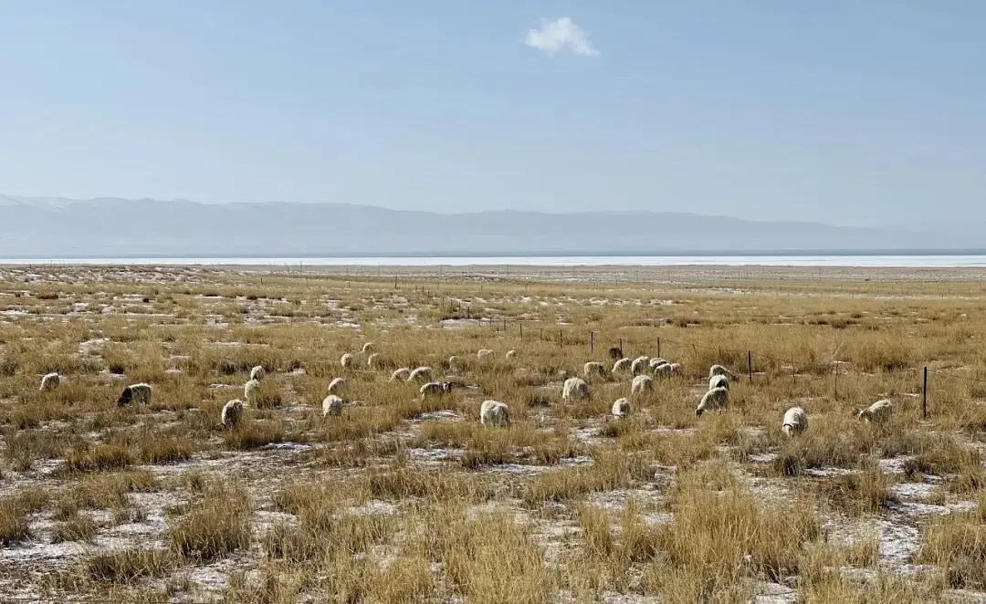 旅行定制师_旅行疲惫感_旅途