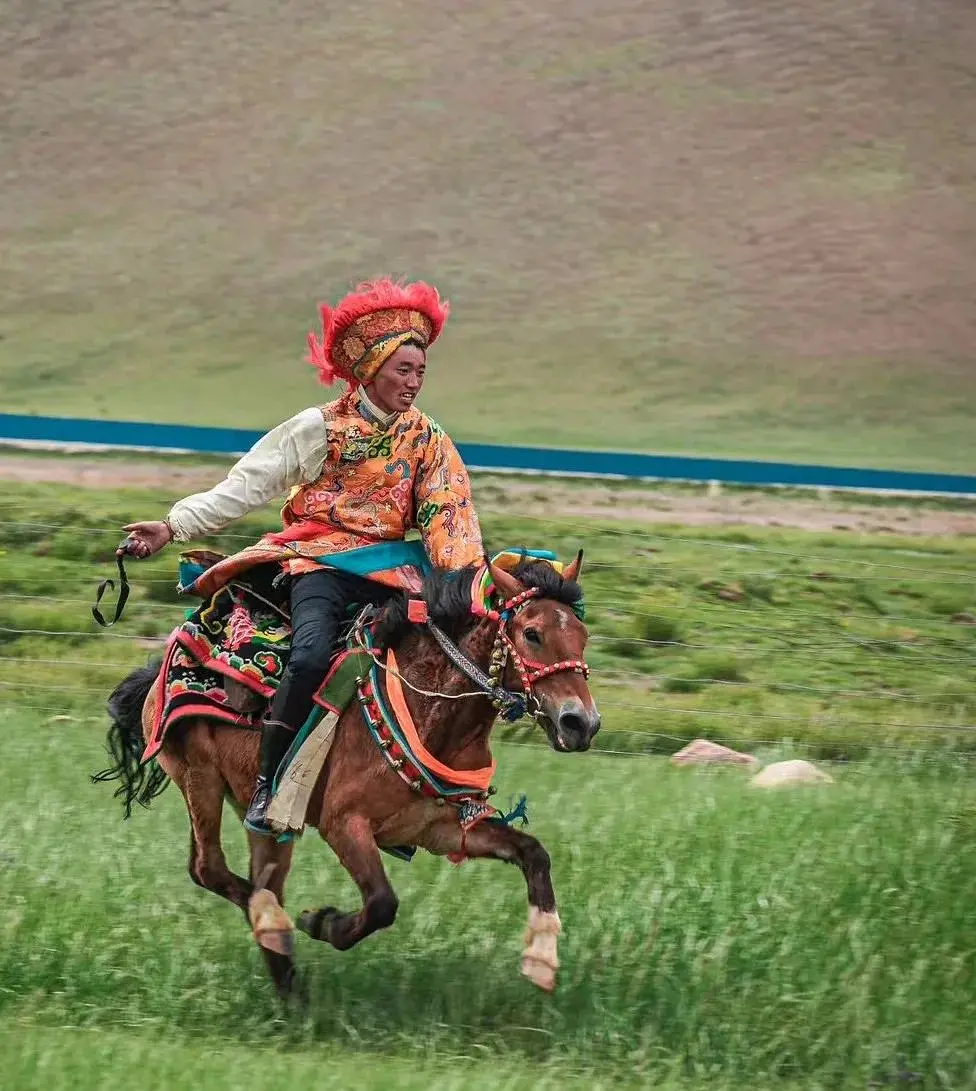 旅行定制师_旅途_旅行疲惫感