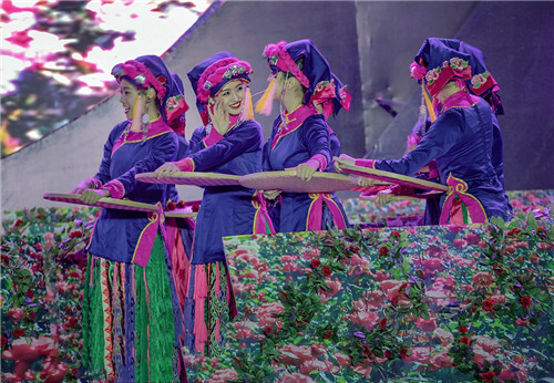 小金玫瑰产业发展模式_小金高原玫瑰七夕情人季活动_七夕情人