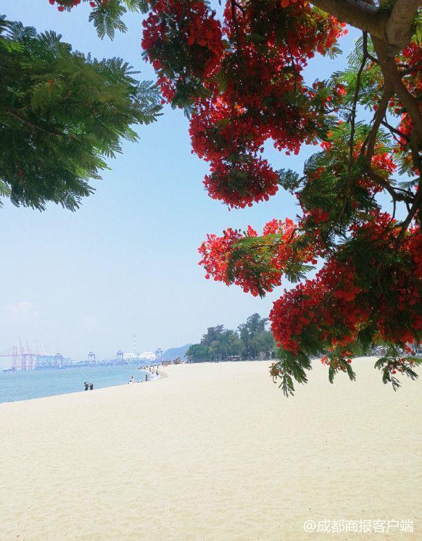 厦门毕业旅行攻略_国内旅行推荐地_成都出发厦门旅游机票价格