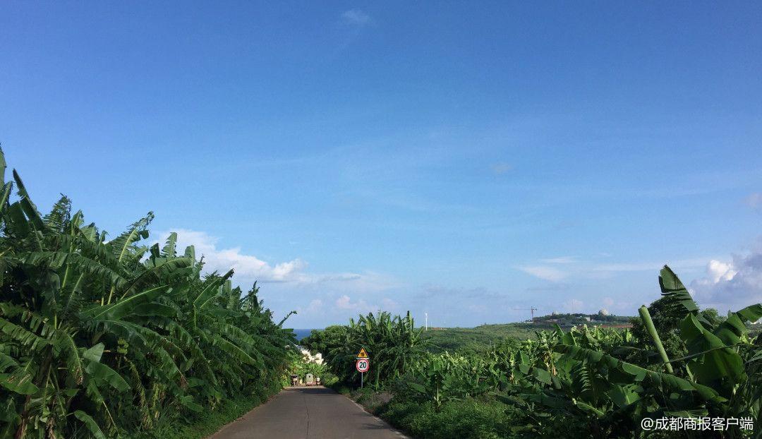 成都出发厦门旅游机票价格_厦门毕业旅行攻略_国内旅行推荐地
