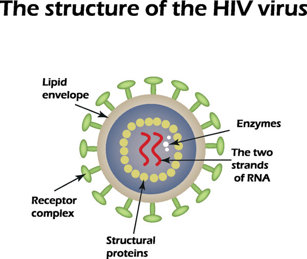 艾滋病病人的肺炎