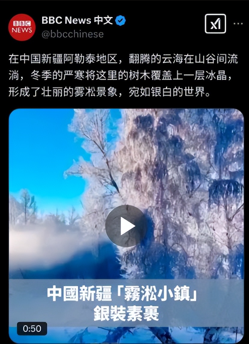 新闻美国最新消息_新闻美国大选_美国bbc新闻