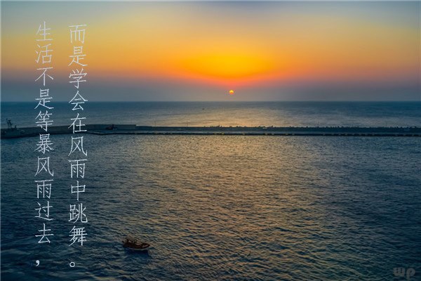 我们忙成狗，努力去生活，却没有了生活