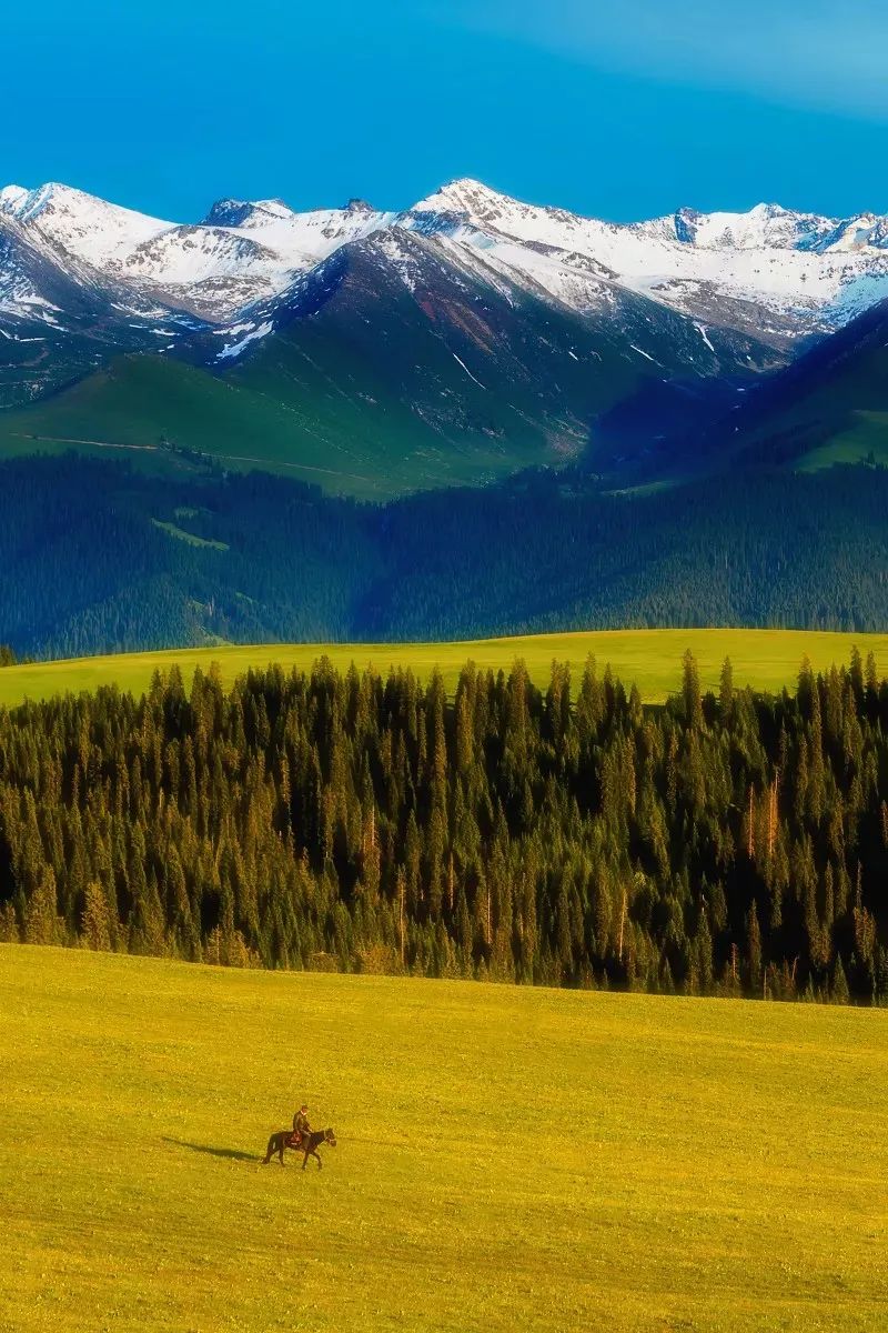 中国最美40个旅游胜地_探索中国大好河山_国内旅行推荐地