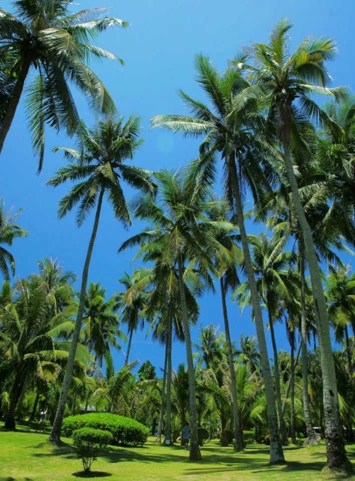 国内旅行推荐地_探索中国大好河山_中国最美40个旅游胜地