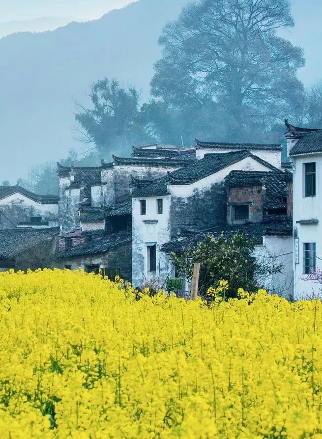 国内旅行推荐地_探索中国大好河山_中国最美40个旅游胜地