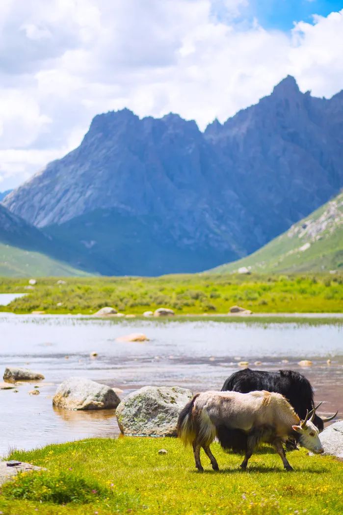 中国最美40个旅游胜地_探索中国大好河山_国内旅行推荐地
