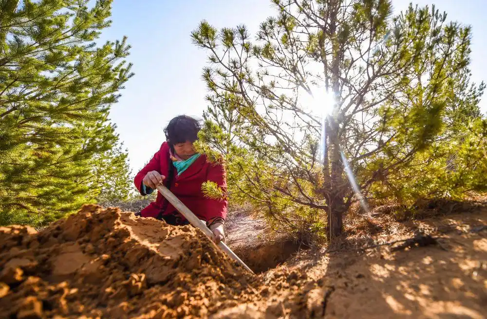 中国女性在各行各业贡献_新时代女性成就_巾帼共绘新时代