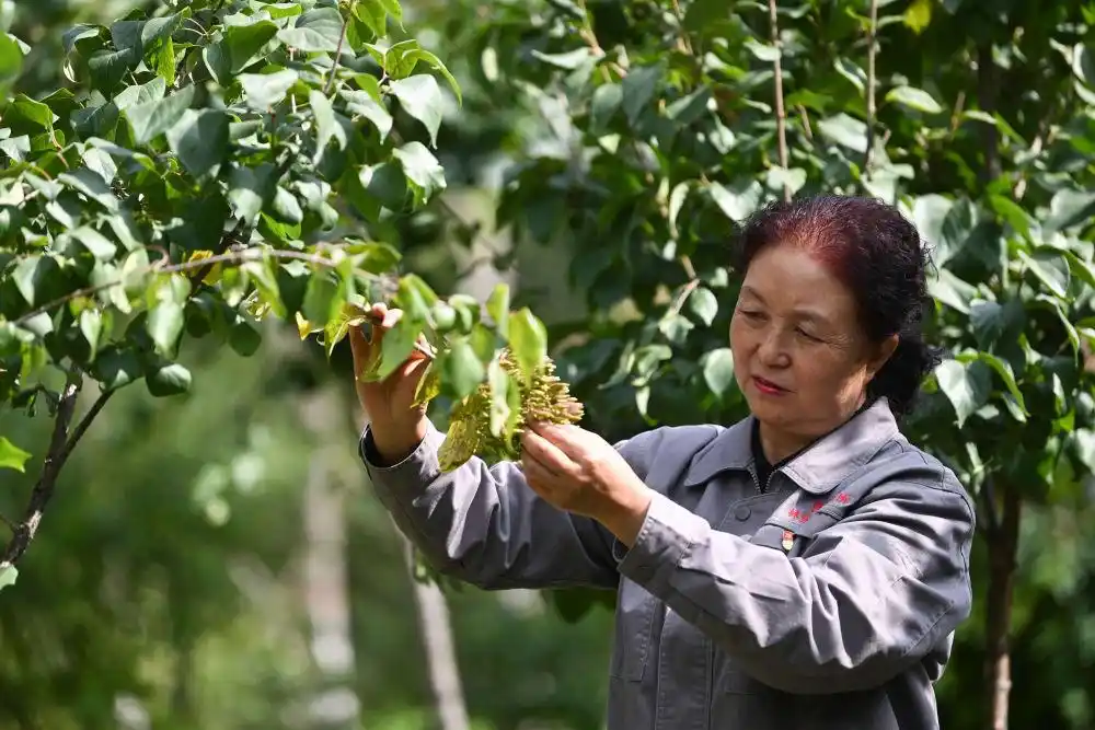 中国女性在各行各业贡献_新时代女性成就_巾帼共绘新时代