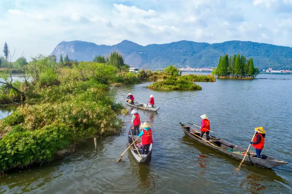 中国女性在各行各业贡献_巾帼共绘新时代_新时代女性成就