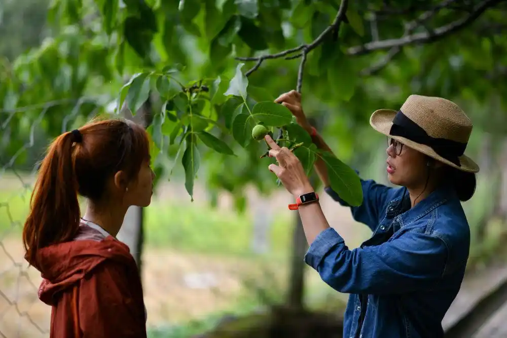 新时代女性成就_巾帼共绘新时代_中国女性在各行各业贡献