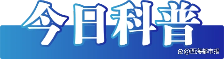 食用动物大脑健康风险_涉退役军人违法违规账号被处置_江苏车牌新字母号段