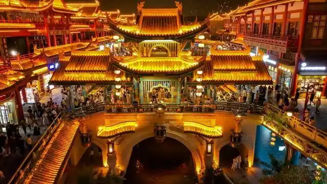 宠物经济_情绪经济_情绪消费火了