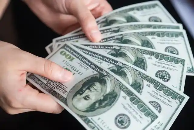 宠物经济_情绪消费火了_情绪经济