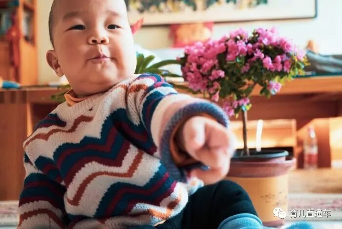 宝宝智能发育评估标准_记录宝宝成长各项指标分析的网站_4-5月龄宝宝生长发育指标