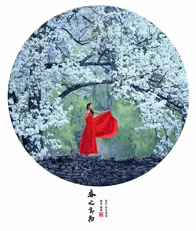 如何用18一140的镜头拍郁金香_拍出唯美人像的七个要点_花卉人像拍摄技巧