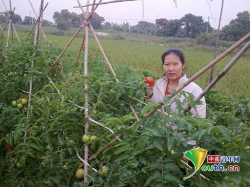冼润霞全国人大代表故事_大学生村官冼润霞_2025广东省优秀女大学生村官