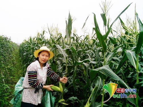 2025广东省优秀女大学生村官_冼润霞全国人大代表故事_大学生村官冼润霞