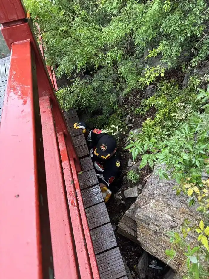 山东济南29岁失联男子确认身亡_苏阳阳济南搜救进展_济南玉函山失联男子搜救