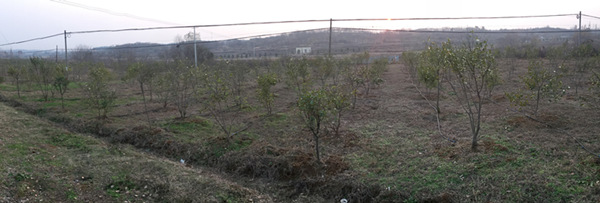 武汉烟草知音网络服务操作平台_武汉市新洲烟草专卖局扶贫_武汉市烟草专卖局精准扶贫案例