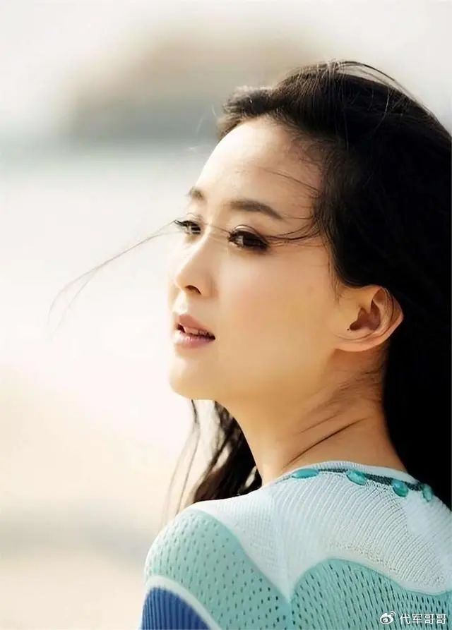 王志才 王艳 婚姻 命运 变迁_王艳老公王志才大儿子