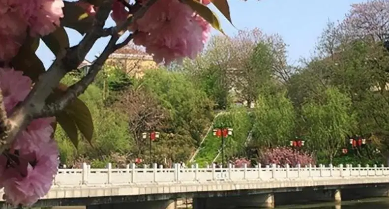 西安二炮工程大学沈星 无名小桥英勇救人 青州市民缅怀英雄_青州二炮沈星