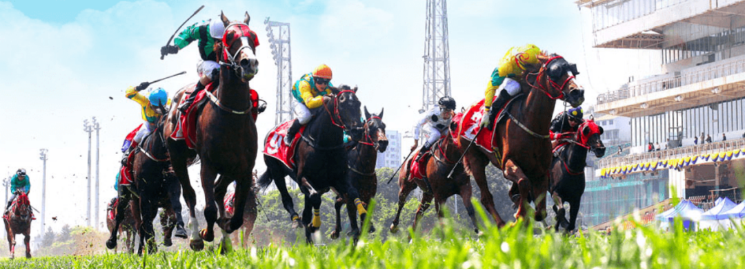 4月起停办！已有40多年历史的活动为何被终止？