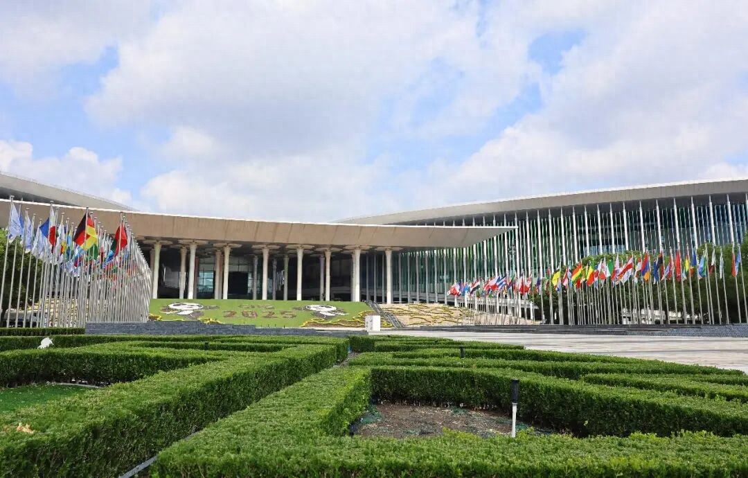 今年进博会，三点感受很特别