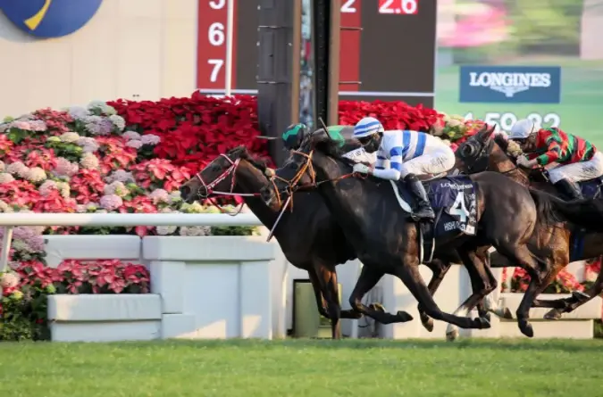 香港赛马会应对新冠疫情挑战_香港赛马会开奖直播官方网站_香港赛马会物色赛驹困难