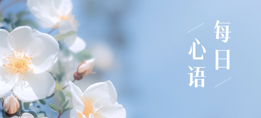 全国英语等级考试成绩查询_全国计算机等级考试成绩查询_2025记者证成绩查询