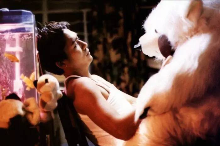 那个爱上前任好哥们的姑娘