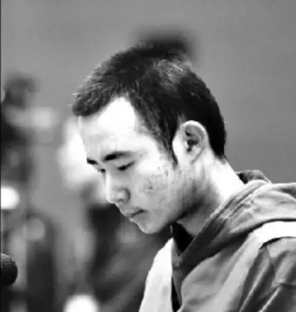 药家鑫案详细情况_药家鑫案父亲教育方式分析_柴静+看见药家鑫