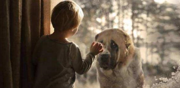 宝宝起名思路_属鸡吴姓女孩取名大全_传统八字起名方法